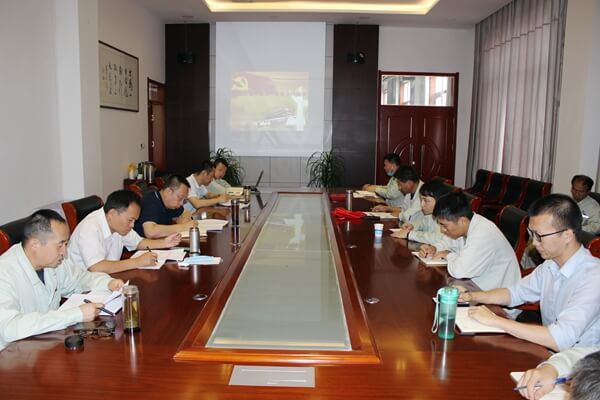 华浩轩公司党总支举行迎“七一”主题党日活动