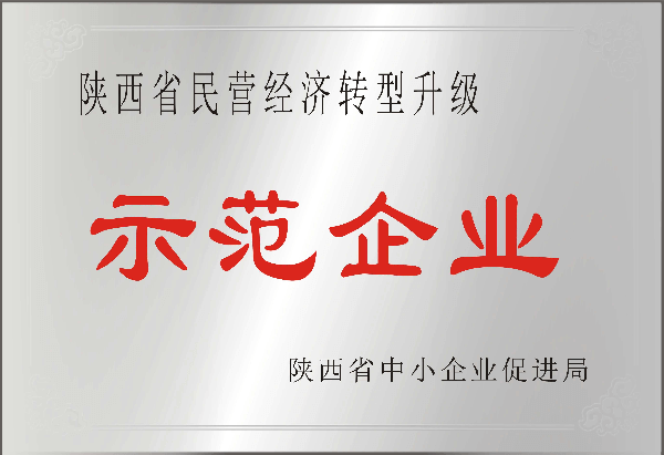 陕西省民营经济转型升级示范企业